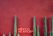 Belgeleri Dijitalleştirmek Güvenli Mi? Bilmeniz Gerekenler