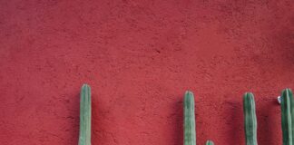 Belgeleri Dijitalleştirmek Güvenli Mi? Bilmeniz Gerekenler