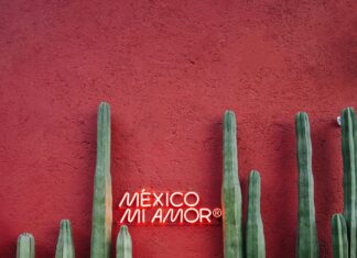 Belgeleri Dijitalleştirmek Güvenli Mi? Bilmeniz Gerekenler