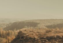 En İyi Tarama Sonucu İçin Püf Noktalar: Kesin Başarı Taktikleri