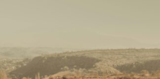 En İyi Tarama Sonucu İçin Püf Noktalar: Kesin Başarı Taktikleri