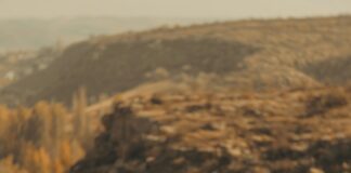 Tarayıcı Kullanmaya Nereden Başlamalıyım? En Etkili Yöntemler!