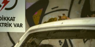 Arşiv Belgeleri Tararken Dikkat Edilmesi Gerekenler: En İyi İpuçları