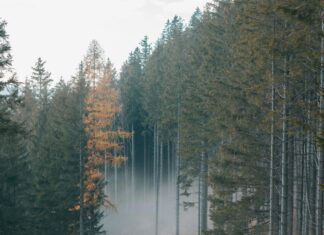 Belgeleri Kaydetmenin Akıllı Yolu: İşinizi Kolaylaştıran Taktikler