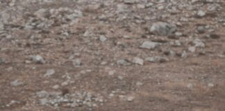 Dijital Belgelerle Yasal Uyum Süreci Nasıl Kolaylaşır?