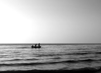 İşletmelerde Günlük Tarayıcı Kullanımı: Verimliliği Artırmanın Sırları