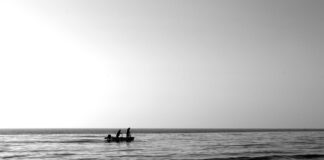 Günlük Hayatta Tarayıcıların Yeri: Bilmeniz Gereken Etkileyici Faydalar