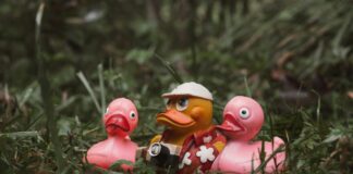 Tarayıcı Kullanımıyla Vergi Belgeleri Düzenleme: Kolay ve Hızlı Yöntemler