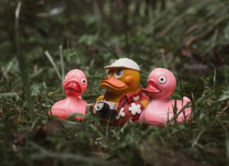 Tarayıcı Kullanımıyla Vergi Belgeleri Düzenleme: Kolay ve Hızlı Yöntemler