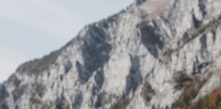 Tarayıcıların Eğitimde Kullanım Alanları: Keşfedilmemiş Fırsatlar!