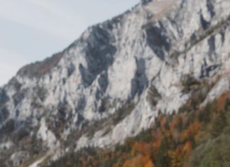 Tarayıcıların Eğitimde Kullanım Alanları: Keşfedilmemiş Fırsatlar!