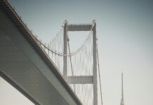 Tarayıcıların Dijital Ofislerdeki Önemi: Başarı İçin Neden Şart?