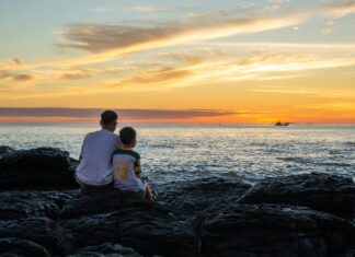 Belgeleri Kaybetme Derdi Son Bulsun: Pratik Çözümler ve İpuçları