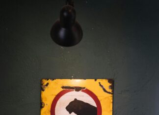 Tarayıcı İle Garantileri Ve Faturaları Saklamanın Yolu: Kolay Ve Güvenli!