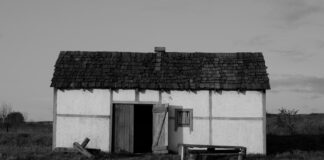 Akademik Belgeleri Dijitalleştirmenin Avantajları: Neden Şimdi?