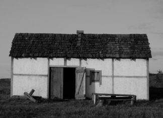 Akademik Belgeleri Dijitalleştirmenin Avantajları: Neden Şimdi?