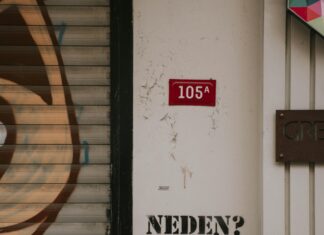 Belgeleri Bulutta Saklamak İçin İlk Adım: Neden Şimdi Başlamalısınız?