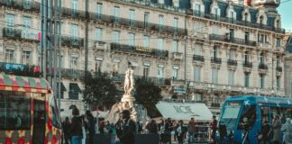 İşletmenize Uygun Tarayıcı Modeli Nasıl Seçilir? En İyi İpuçları