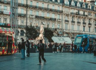 İşletmenize Uygun Tarayıcı Modeli Nasıl Seçilir? En İyi İpuçları