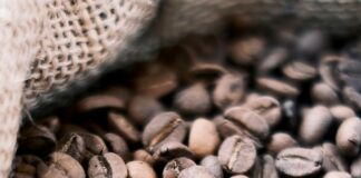 İş Süreçlerinde Tarama Sistemlerinin Rolü Neden Çok Önemli?