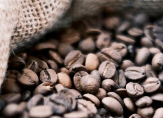 İş Süreçlerinde Tarama Sistemlerinin Rolü Neden Çok Önemli?