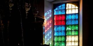 Arşiv Yönetiminde Tarayıcıların Yeri: Verimlilikte Gizli Güç!