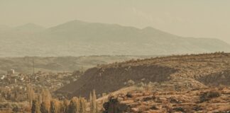 Tarayıcı Seçiminde Kalite Kriterleri: En İyi Tercihi Nasıl Yaparsınız?