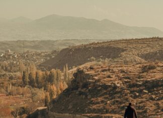 Tarayıcı Seçiminde Kalite Kriterleri: En İyi Tercihi Nasıl Yaparsınız?