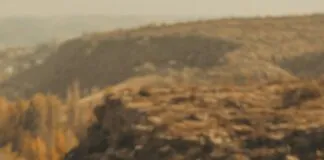 Tarayıcılar İle Kayıt Sürekliliği Sağlama: En Etkili Yöntemler!