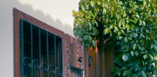 Belge Tarama Ve Güvenlik İlişkisi: Bilmeniz Gereken Kritik Detaylar