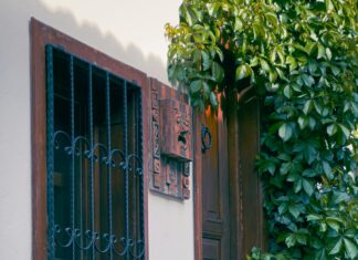 Belge Tarama Ve Güvenlik İlişkisi: Bilmeniz Gereken Kritik Detaylar