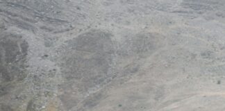 Ofislerde Dijitalleşme Sürecinde İlk Adım: Başarı İçin İpuçları