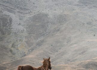 Ofislerde Dijitalleşme Sürecinde İlk Adım: Başarı İçin İpuçları