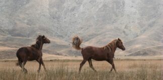 Tarayıcı İle Otomatik Arşivleme: Kolay ve Hızlı Çözüm!
