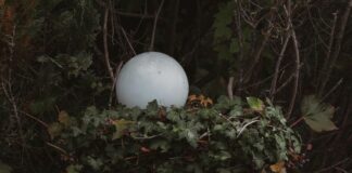 Kağıtsız Ofis İçin Tarayıcı Kullanımı: Verimliliği Artırmanın Sırları