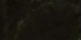 Tarayıcı Kullanımında Uzun Vadeli Planlama: Başarının Sırları