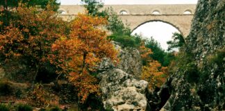 Belgeleri Tararken Renk Doğruluğu Sağlama: En Etkili Yöntemler