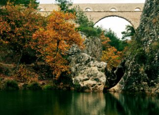 Belgeleri Tararken Renk Doğruluğu Sağlama: En Etkili Yöntemler