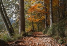 Arşivleme Maliyetlerini Düşürmenin Yolu: Etkili ve Kolay Çözümler