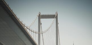 Dijital Belgelerin Otomatik Yedeklenmesi Neden Şimdi Çok Önemli?