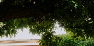 Dijitalleşme İle Evrak Karmaşasına Son: İşlerinizi Kolaylaştırın!