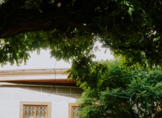 Dijitalleşme İle Evrak Karmaşasına Son: İşlerinizi Kolaylaştırın!