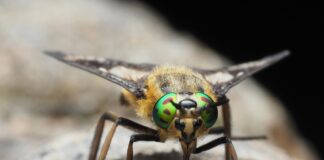 E-Arşiv Ve E-Fatura İçin Belge Tarama Gerekliliği Neden Önemli?