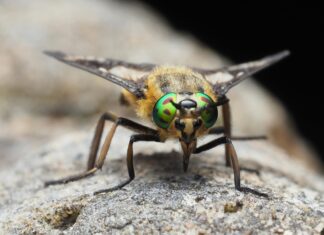 E-Arşiv Ve E-Fatura İçin Belge Tarama Gerekliliği Neden Önemli?