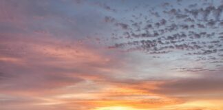 Cloud Yedekleme İle Belgeleri Güvenceye Alma: Neden Şimdi?