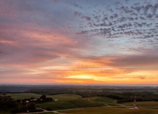 Cloud Yedekleme İle Belgeleri Güvenceye Alma: Neden Şimdi?