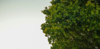 Belgeleri Kayıpsız Arşivlemenin Yolu: Kesin Çözümler ve İpuçları