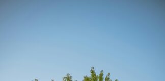 Hangi Belgeler Tarayıcı İle Saklanmalı? Kesin Ve Etkili Yöntemler