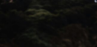 Tarayıcıların Kullanım Alanları Nelerdir? Keşfedin ve Öğrenin!