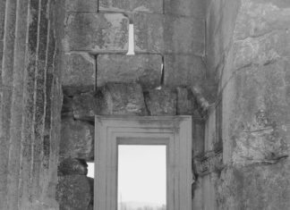 Tarama Yaparken Renk Ayarları Nasıl Olmalı? En İyi İpuçlarıyla!